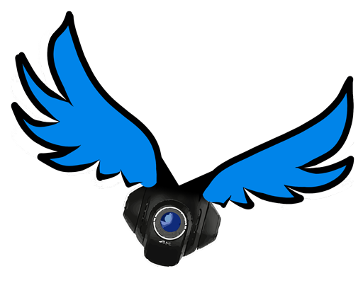 Project: Bluebirdy.nl