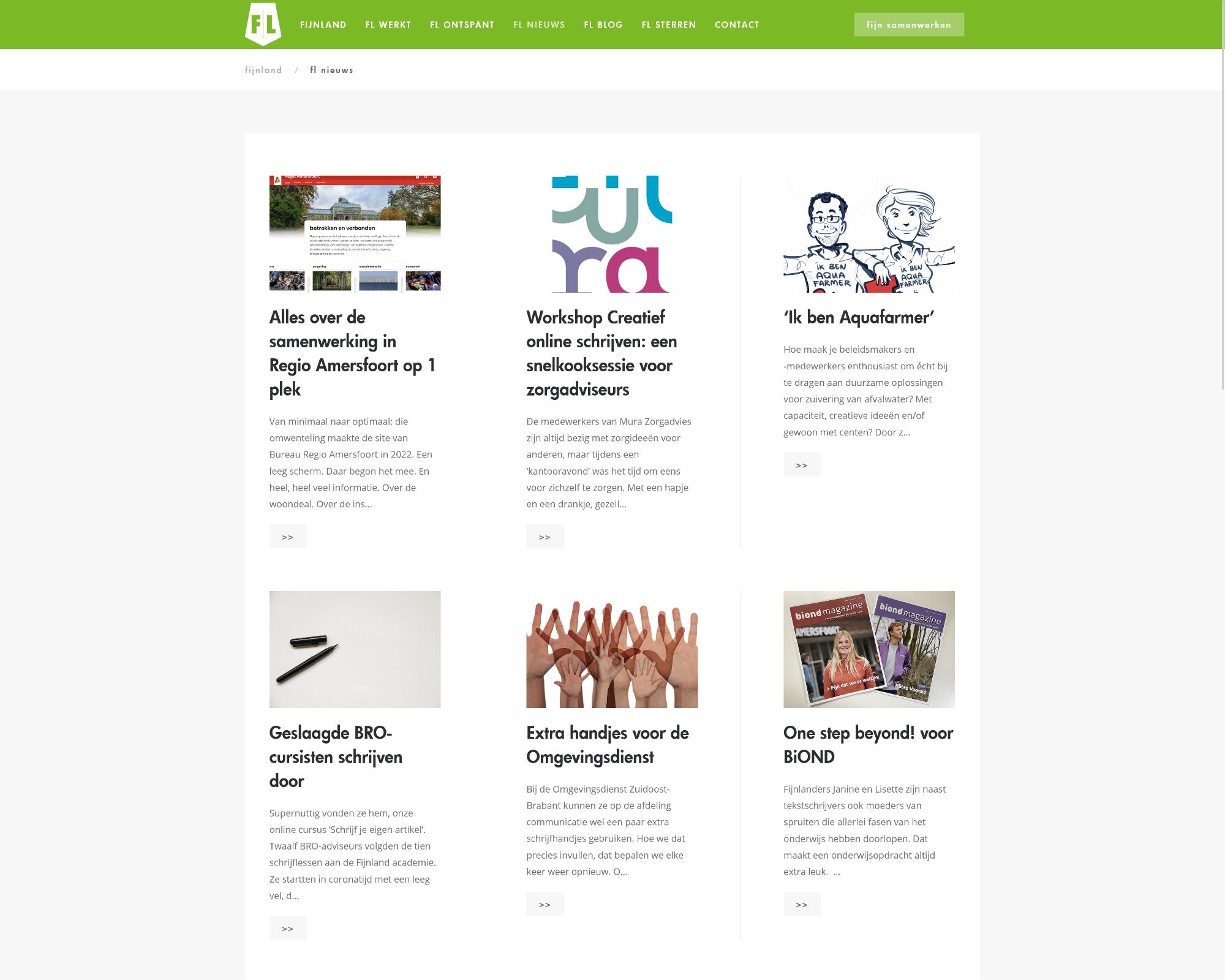 WordPress-website Fijnland