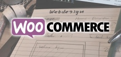 Vanaf nu ook Woocommerce webshops