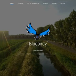 Joomla webdesign voor Bluebirdy